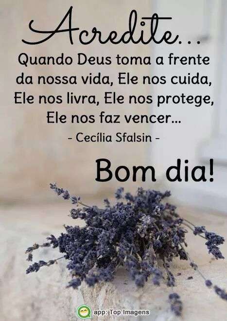 Bom dia - Top Imagem - 5425 Bom dia - Top Imagem - 5425