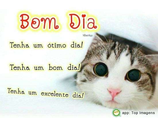 Bom dia