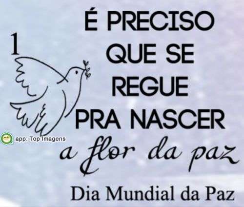 Dia Mundial da Paz