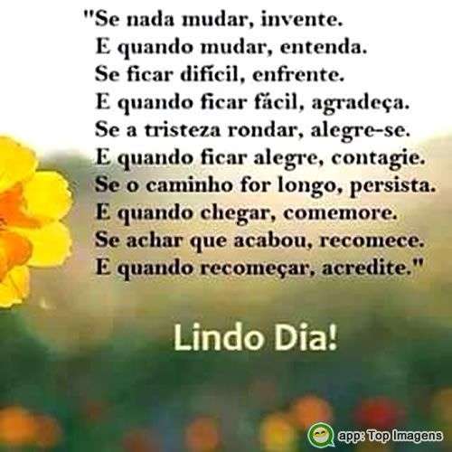 Lindo dia