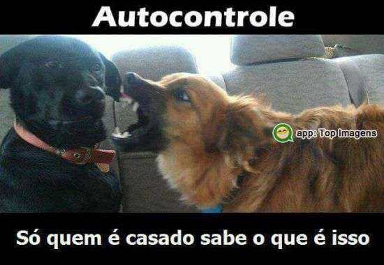 Autocontrole