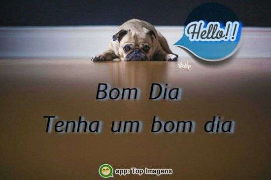 Bom dia