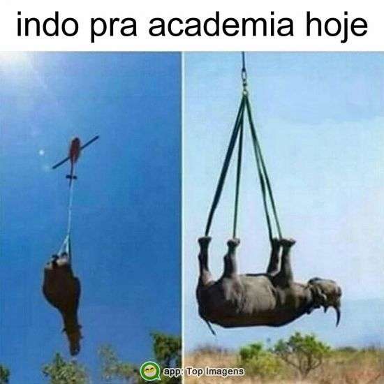 Indo pra academia hoje