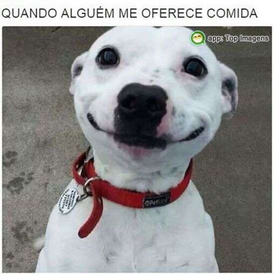 Quando alguém oferece comida