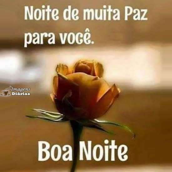 Boa noite