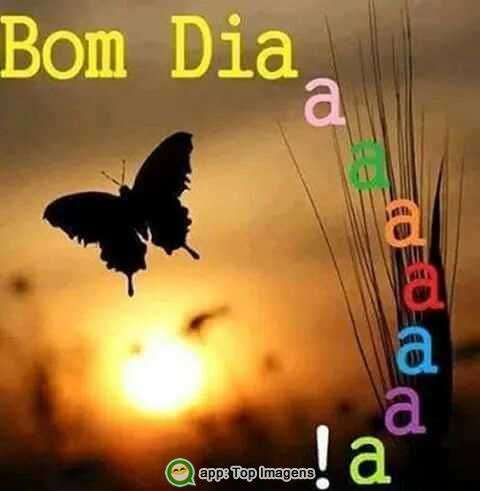 Bom dia