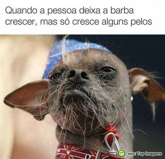 Quando a pessoa deixa a barba