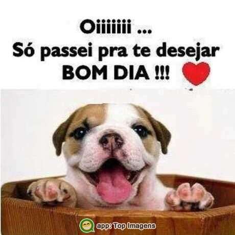 Bom dia - Top Imagem - 7341 Bom dia - Top Imagem - 7341