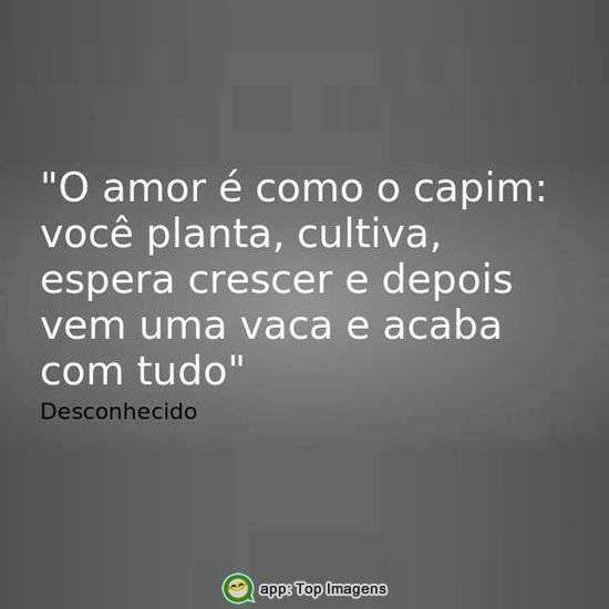 O amor é como capim