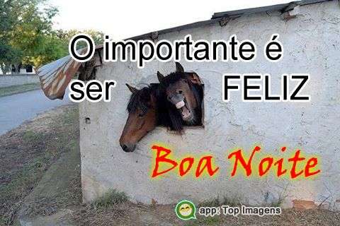 O importante é ser feliz