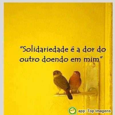 Solidariedade é a dor do outro em mim