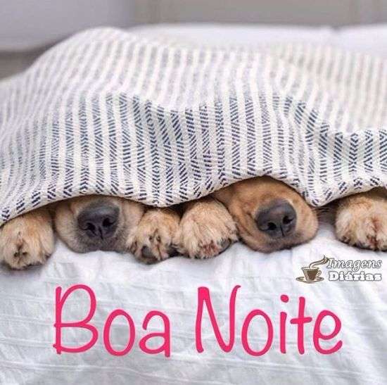 Boa noite