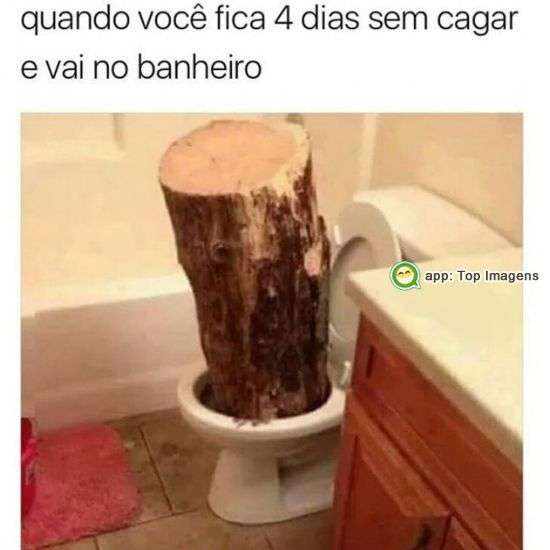Dias sem ir ao banheiro