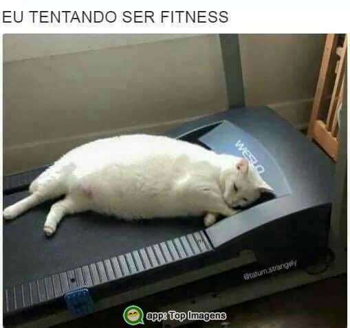 Eu tentando ser fitness