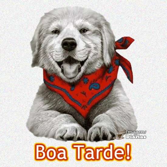 Boa tarde