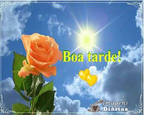 Boa tarde