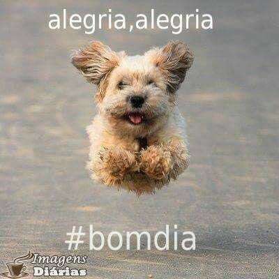 Bom dia