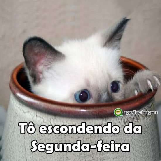 Escondendo da segunda-feira