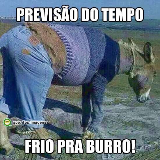 Frio pra burro