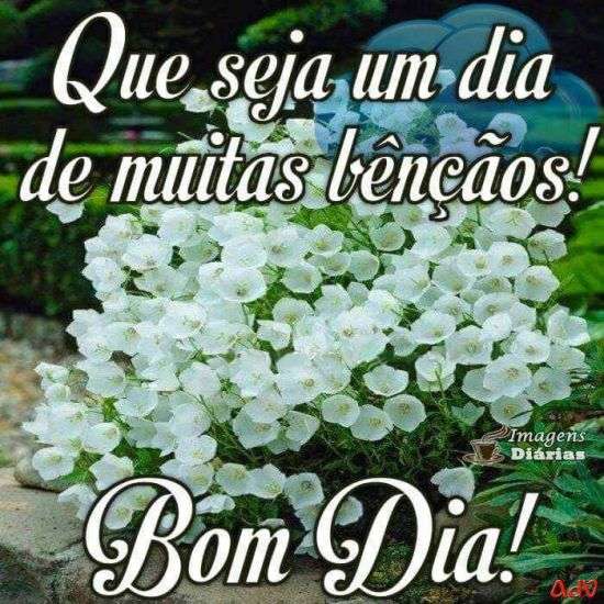 Bom dia