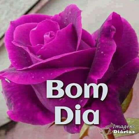 Bom dia