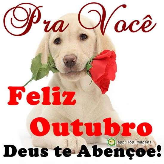 Feliz outubro