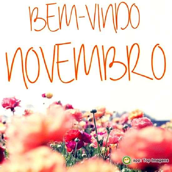 Bem-vindo novembro