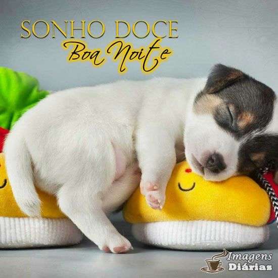 Boa noite