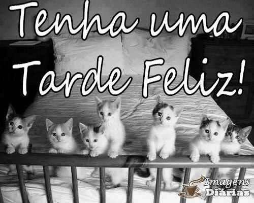 Feliz tarde