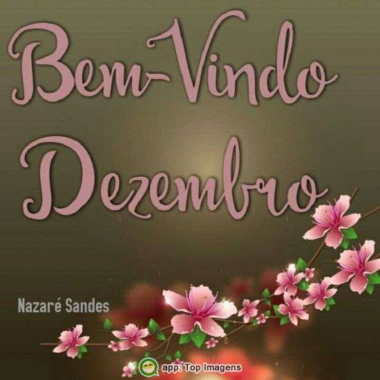 Bem-Vindo Dezembro