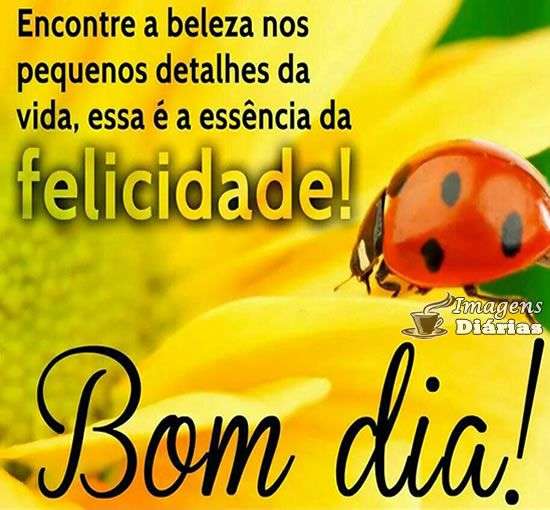 Bom dia