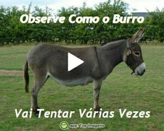 Ótimo vídeo