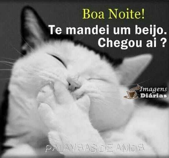 Boa noite