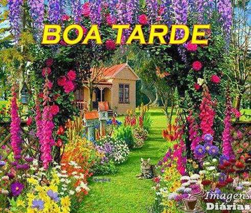 Boa tarde