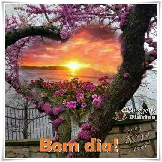 Bom dia