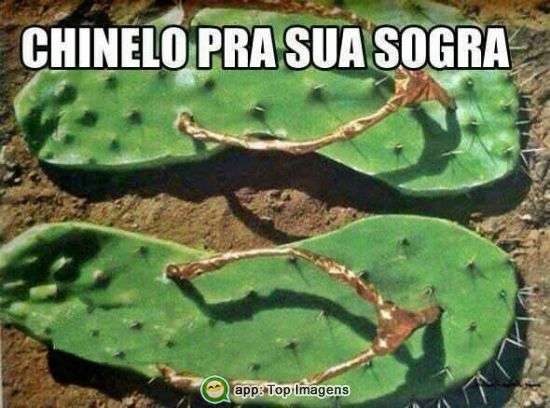 Chinelo pra sua sogra