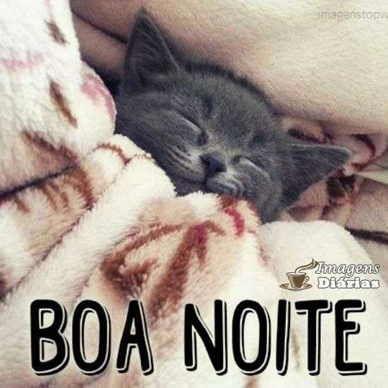 Boa noite