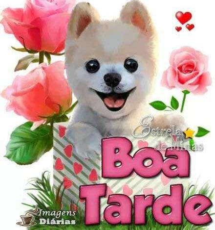 Boa tarde