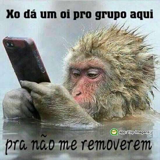 Oi grupo