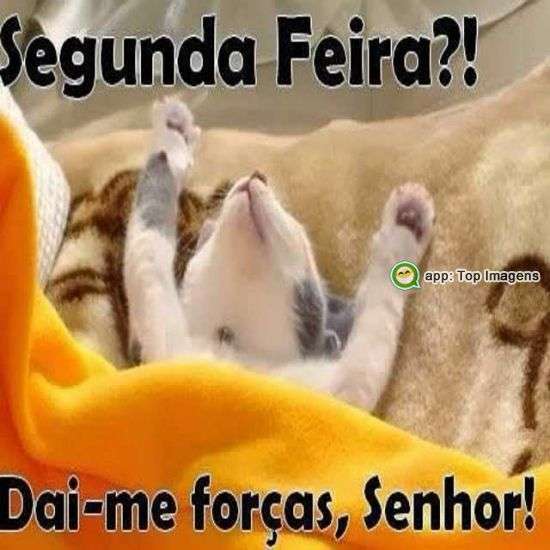 Segunda-feira dai-me forças