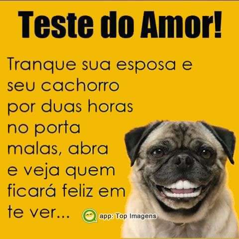 Teste de amor