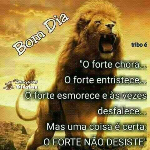 Bom dia