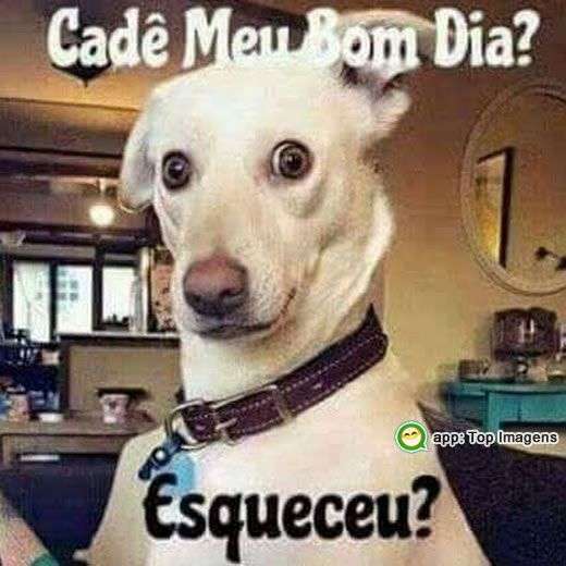 Cadê meu bom dia - Top Imagem - 13391 Cadê meu bom dia - Top Imagem - 13391