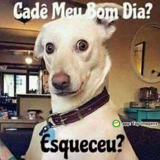 Cadê meu bom dia