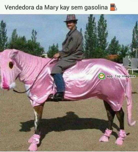 Vendedora da Mary Kay