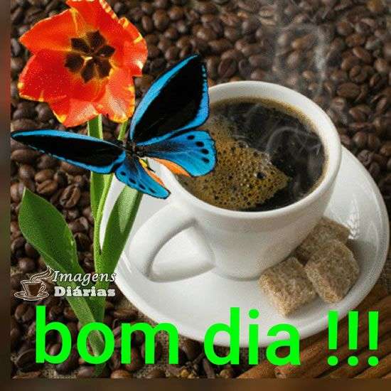 Bom dia