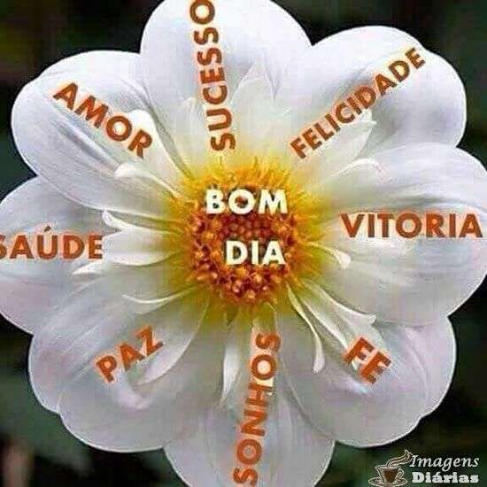 Bom dia