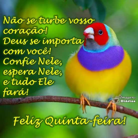 Feliz quinta-feira