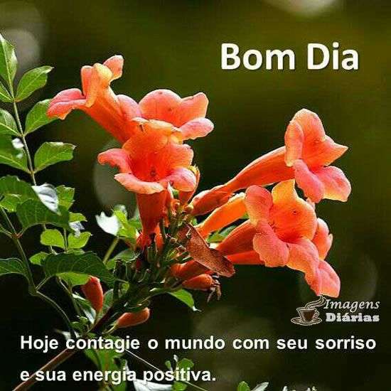 Bom dia