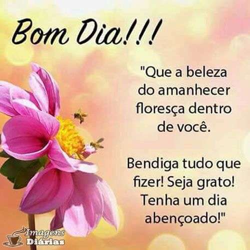 Bom dia - Top Imagem - 14463 Bom dia - Top Imagem - 14463